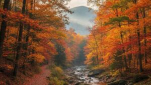 perche-si-dice-foliage